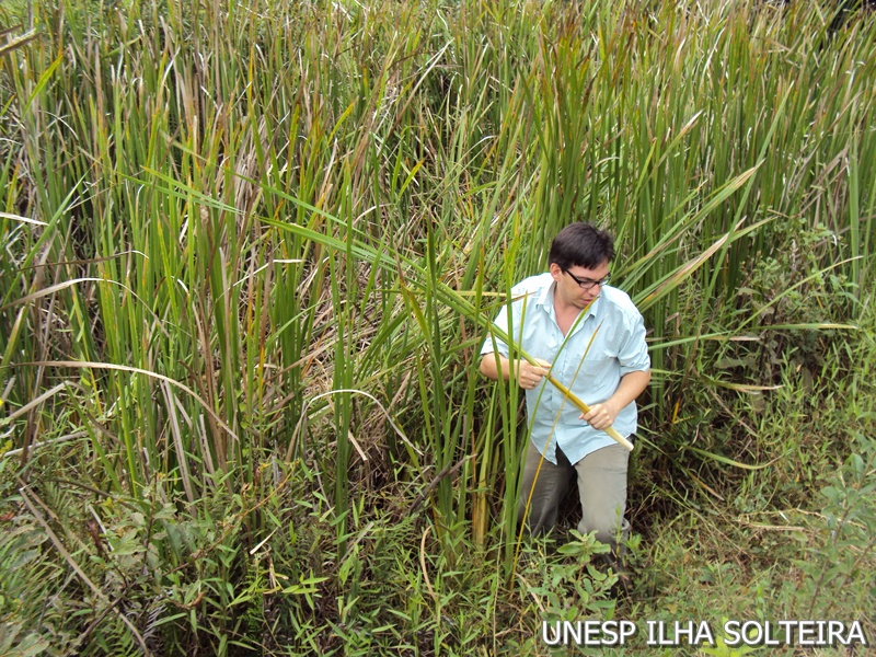 21_marco_2011 (26).JPG